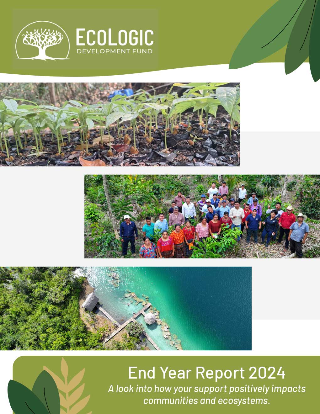 2024 EcoLogic Development Fund Year-End Report